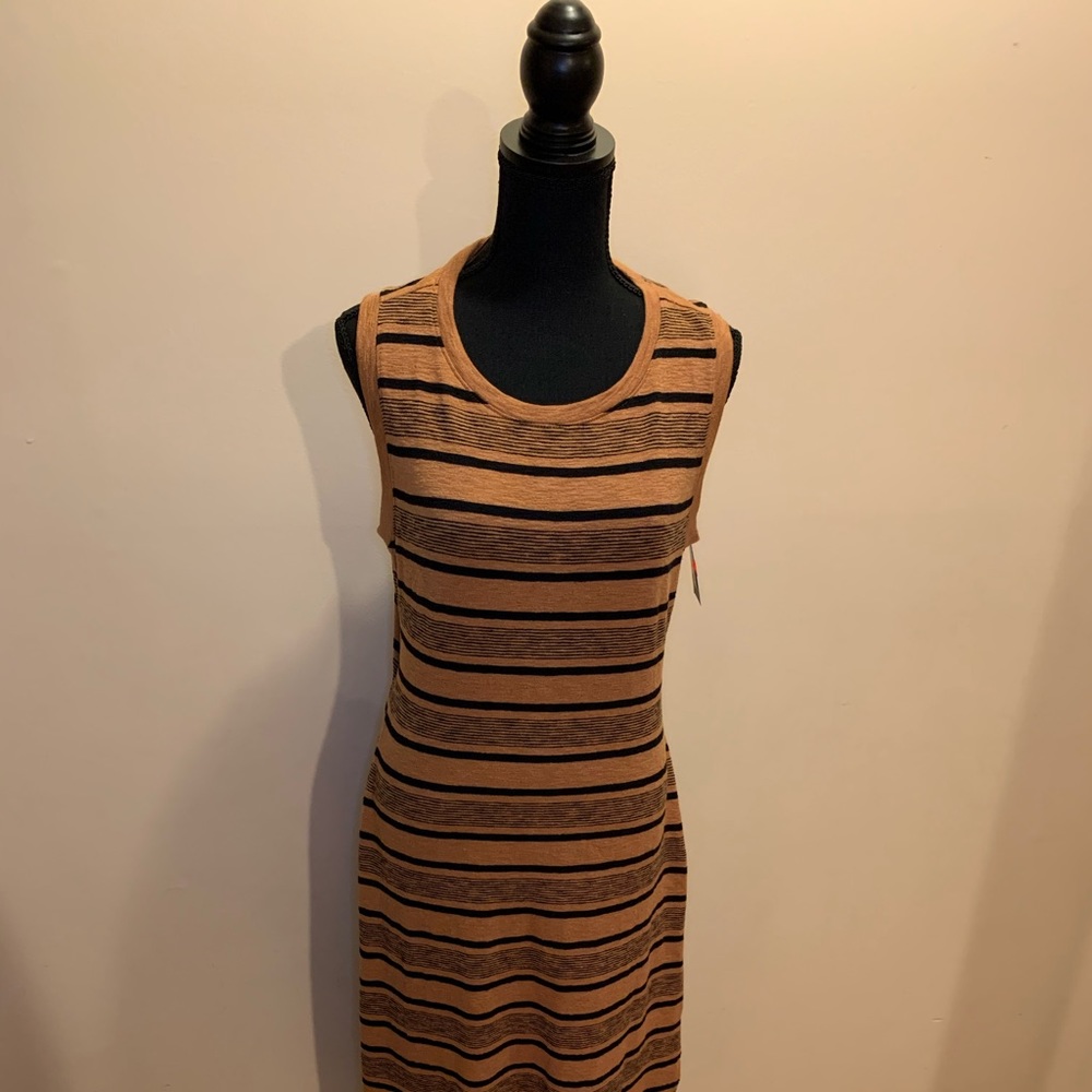 Tan & Black Striped Dress
